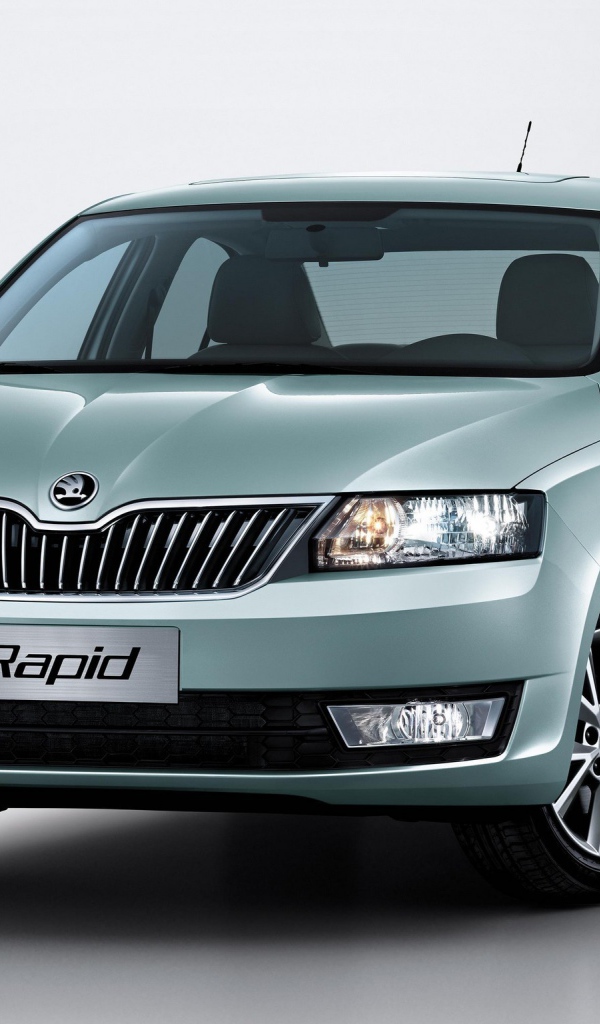 Фото марок шкода. Skoda Rapid 2007. Шкода Рапид 2008. Шкода Рапид и Октавия. Шкода Рапид 2005.